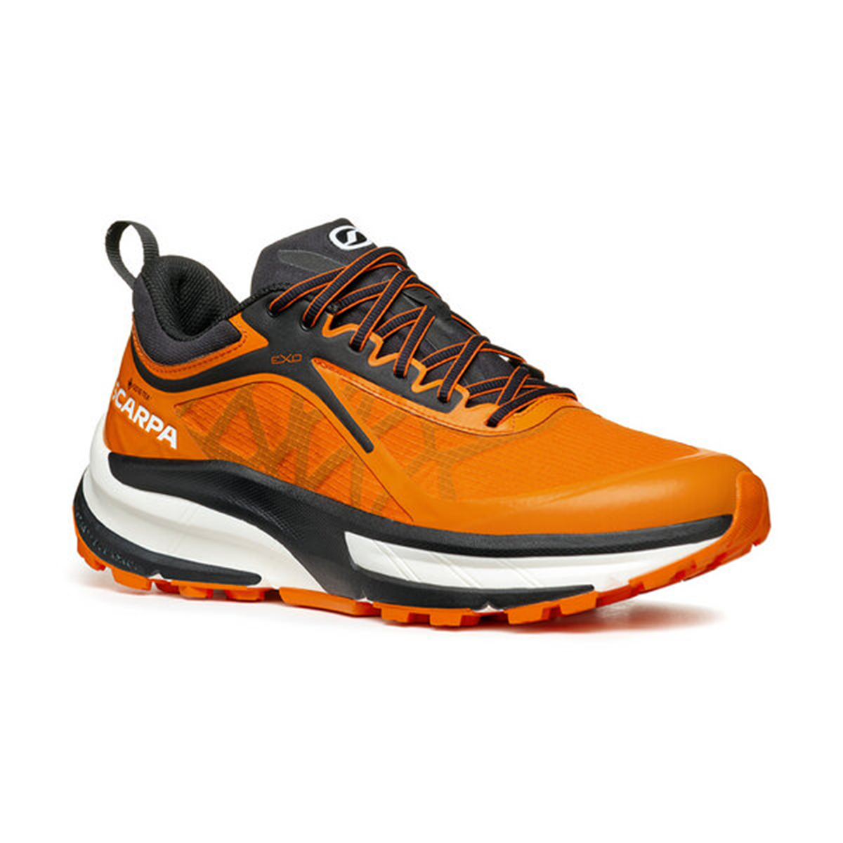 Ботинки мужские Scarpa Golden Gate Atr GTX