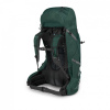 Рюкзак OSPREY Aether Plus 60  (Зеленый, L/XL)